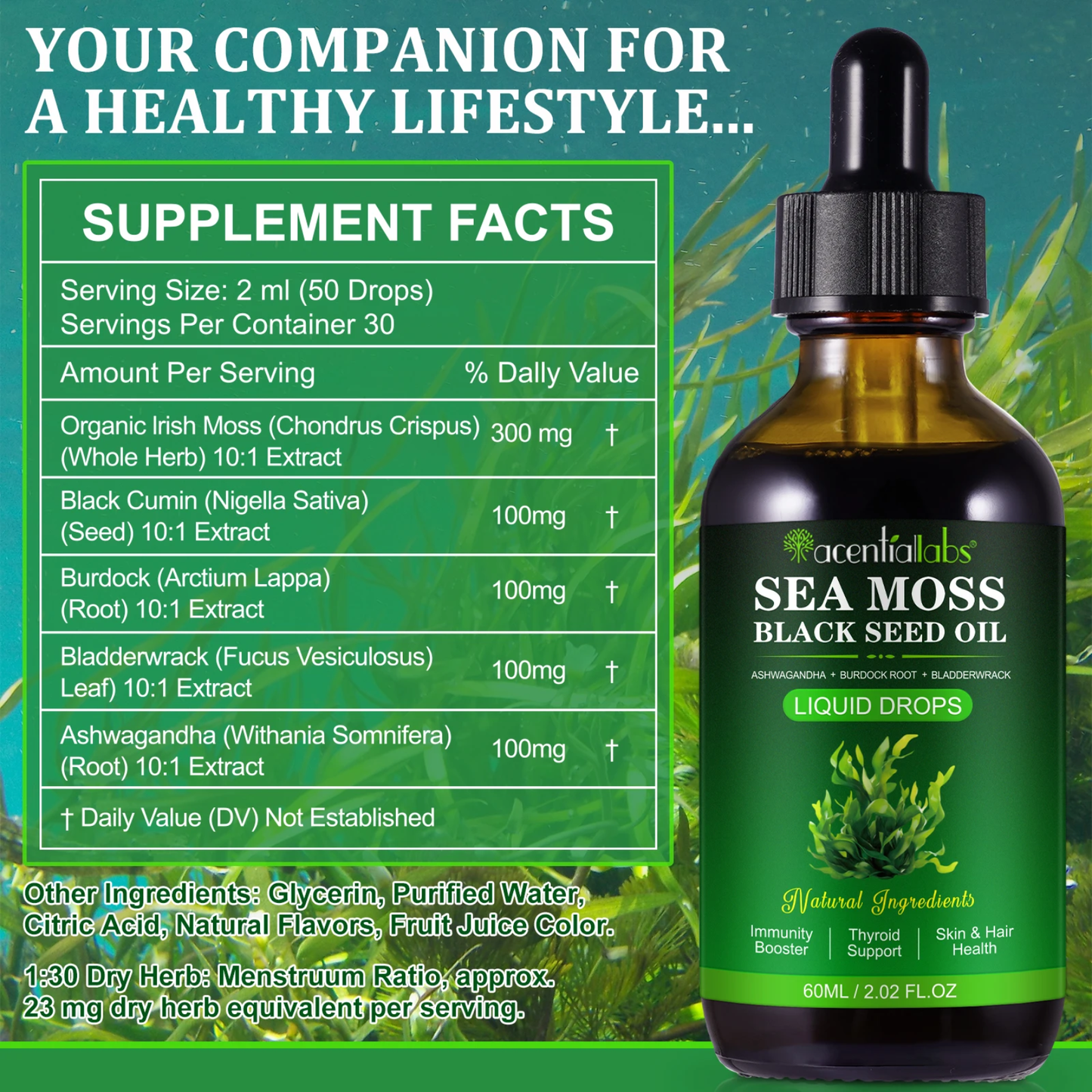 Acential Labs Sea Moss + Black Seed Oil Drops — Daily Wellness