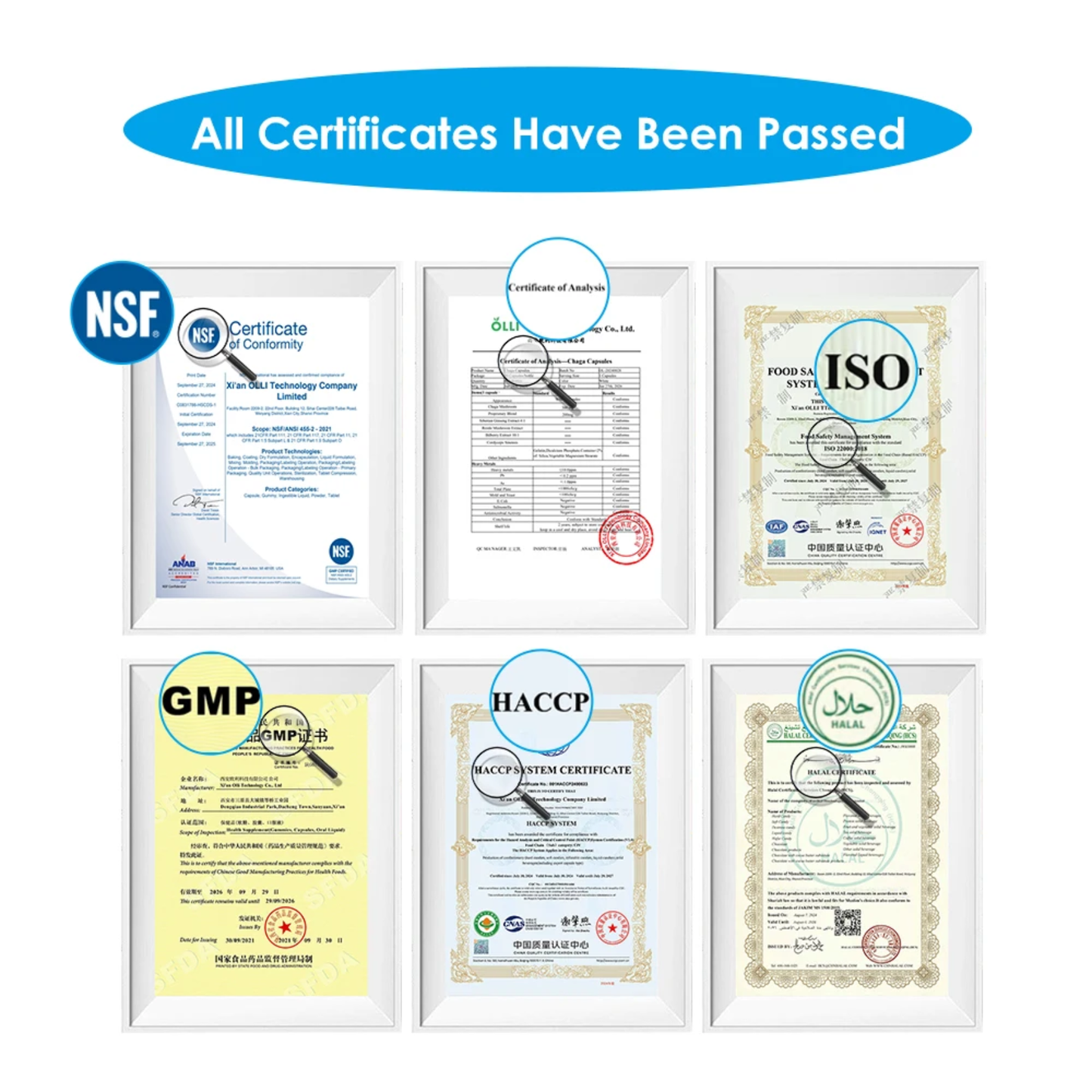 Kids Omega-3 + DHA Gummies