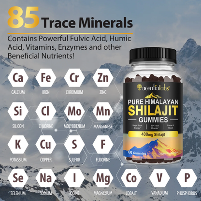 Pure Himalayan Shilajit Gummies