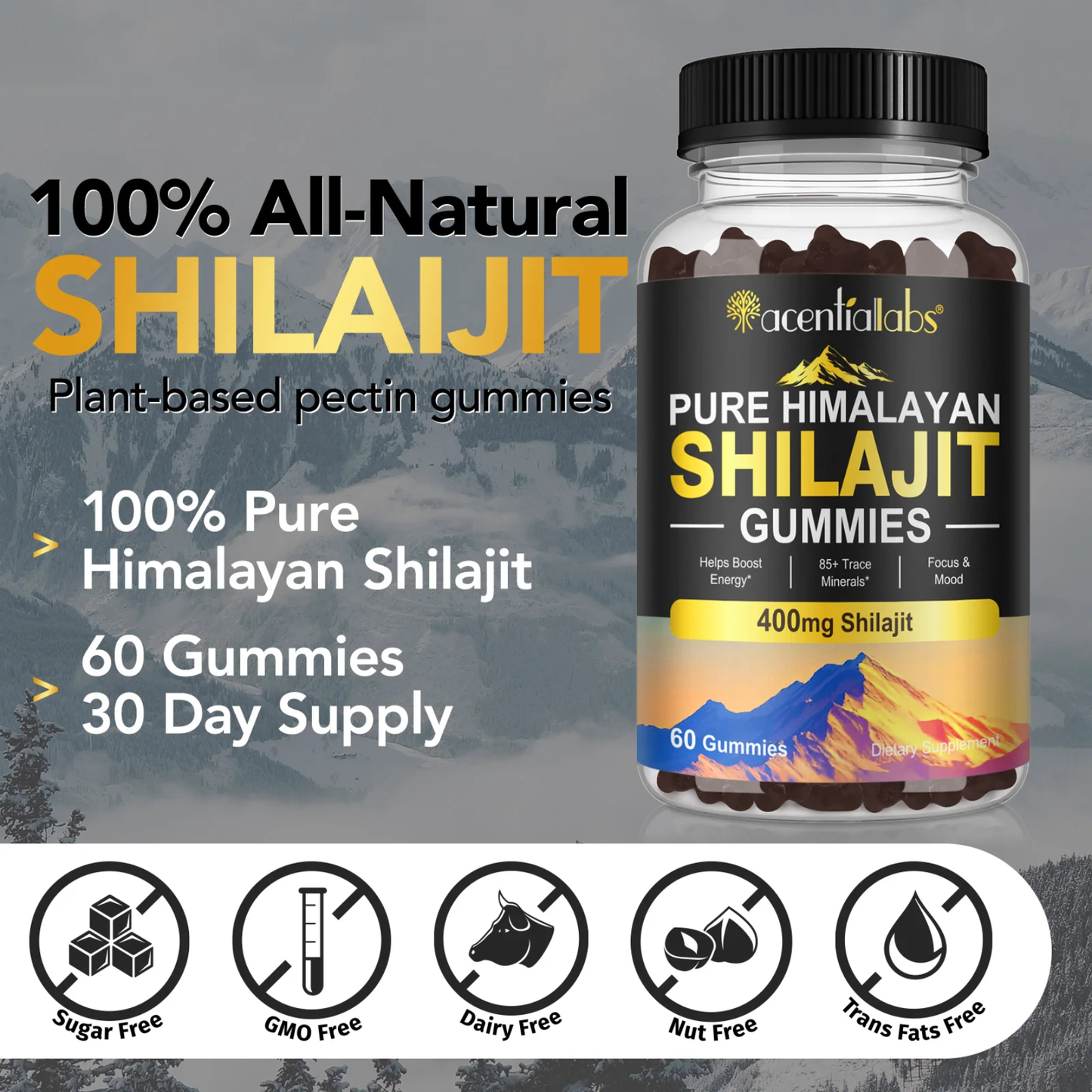 Pure Himalayan Shilajit Gummies