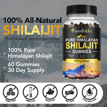 Pure Himalayan Shilajit Gummies