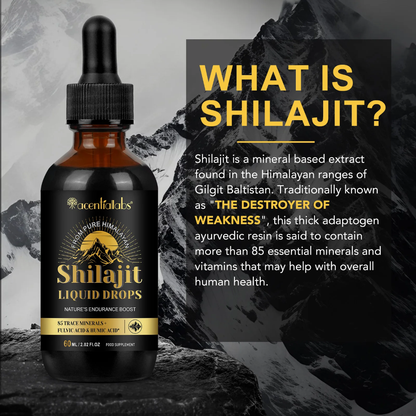 Himalayan Shilajit Liquid Drops 1000mg (60ml) – Natural Energy, Stamina & Focus Support | Fulvic Acid & Trace Minerals