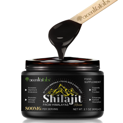 Premium Shilajit Resin – Himalayan Gold Grade