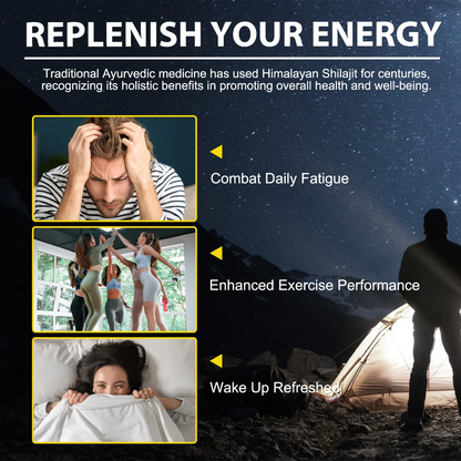 Premium Shilajit Resin – Himalayan Gold Grade