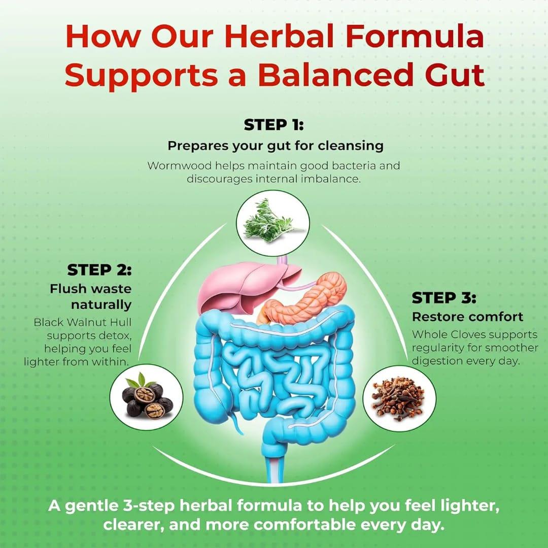 Liposomal Wormwood + Black Walnut + Clove — Gut Cleanse