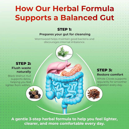 Liposomal Wormwood + Black Walnut + Clove — Gut Cleanse