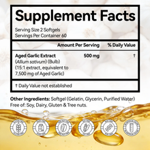 Aged Garlic Extract 500mg softgels with fresh garlic bulb and cloves, 120 gelatin softgels