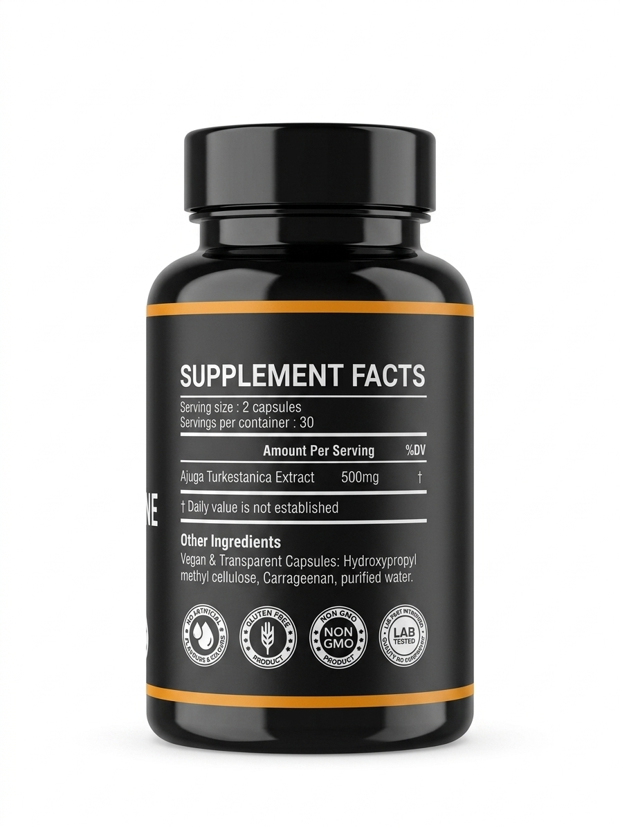 Health & Heal Turkesterone 1000mg — Ajuga Turkestanica Extract Botanical Wellness Capsules | 60 Capsules