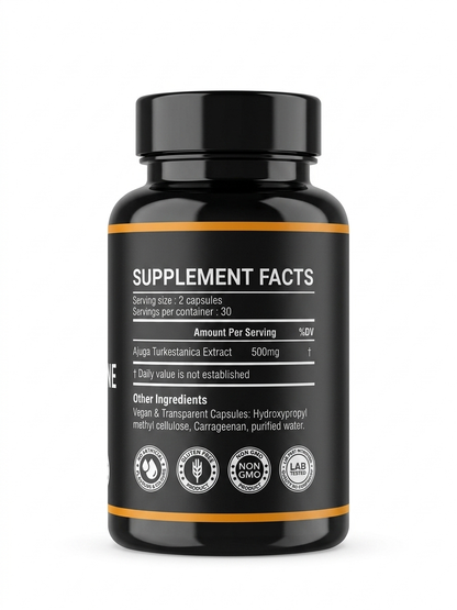 Health & Heal Turkesterone 1000mg — Ajuga Turkestanica Extract Botanical Wellness Capsules | 60 Capsules