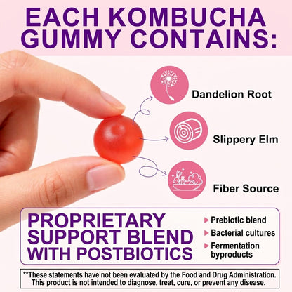 Acential Labs Probiotic Kombucha Gummies | Mixed Berry | 60 Gummies AU